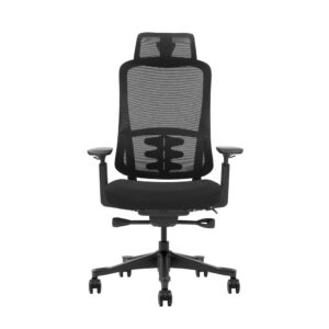 Silla oficina lira apoyo lumbar sistema básculante reposacabezas 2d hasta 120 kg